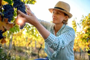 Bild von Katerina Monroe